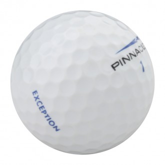 Pinnacle Exception Pinnacle